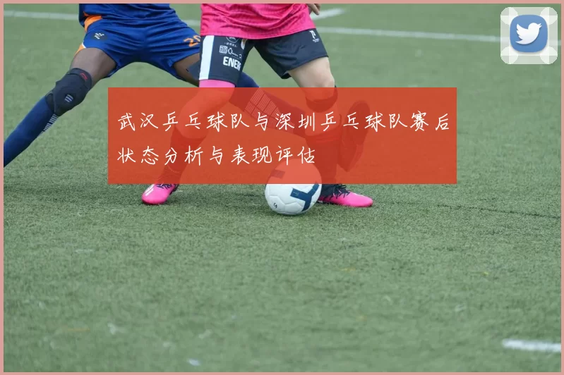 武汉乒乓球队与深圳乒乓球队赛后状态分析与表现评估