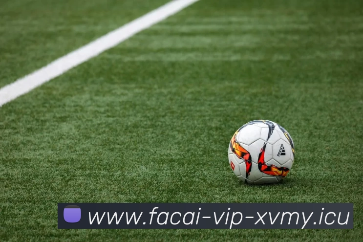 MK体育注册APP 封面图